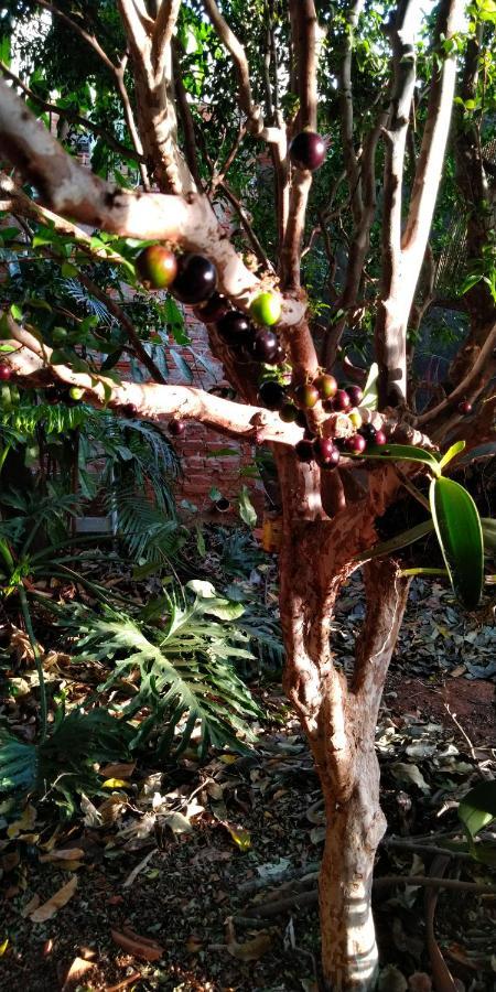 Cafe Com Arte Pousada Ecologica Ботукату Экстерьер фото